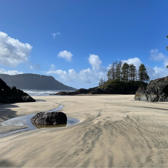 Meet your Posher, - Picture 2 of 2